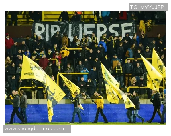 沉迷赌博的足球明星如何在光鲜背后陷入深渊的悲惨故事