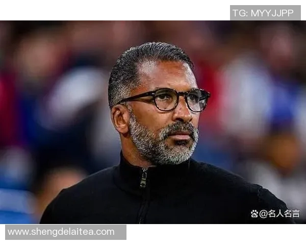 黑人后卫足球明星的崛起与影响力探讨