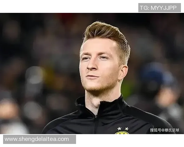 足球明星罗伊斯的职业生涯与个人成就全解析